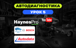 Обучение автодиагностике - Haynes Pro, Autodata (Мотордата) Bosch Esi Tronic